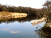 IMG_3552.JPG