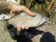 DSC04678.JPG