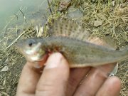DSC04697.JPG