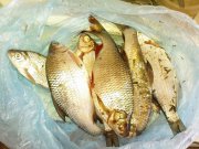 DSC04703.JPG