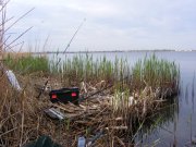 DSCF9154.jpg
