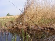 DSCF9153.jpg