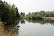 IMG_2849.jpg