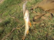 DSC03138.JPG
