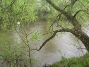 IMG_0429.jpg