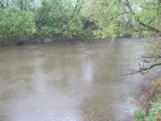 IMG_0430.jpg