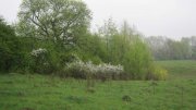 IMG_0431.jpg