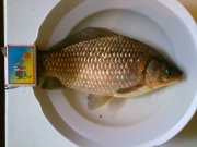29042011036.jpg