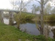01052011026.jpg