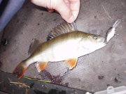 PB070117.jpg