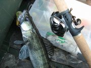 бам 01.05.2011 003.jpg