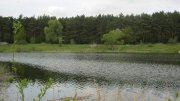 CMax 006.jpg