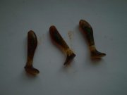 P5040001_thumb.jpg