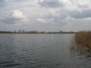 P5030050.jpg