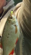 DSCF55082.JPG