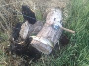05052011038.jpg