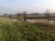 05052011040.jpg
