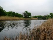 IMG_3581.JPG