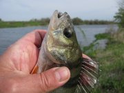 IMG_18382.jpg