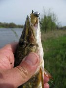 IMG_18412.jpg
