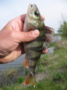 IMG_18391.jpg