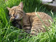 DSC00287.jpg