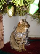 DSC00125.jpg