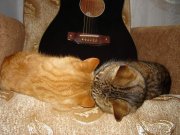 DSC00205.jpg