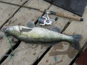 бам 08.05.2011 001.jpg