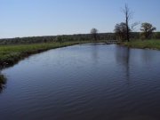 DSC03175.JPG