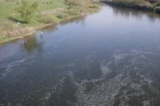SDC12733.jpg