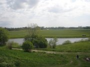 P50900003.jpg