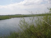 P509000005.jpg