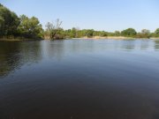 SAM_0155.jpg