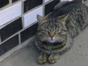 Г.08052011-уменьшенный.jpg