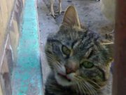 Г08052011023.jpg