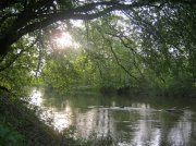 IMG_0467.jpg