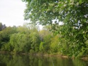 IMG_0471.jpg