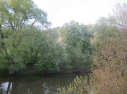 IMG_0474.jpg
