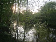 IMG_0475.jpg
