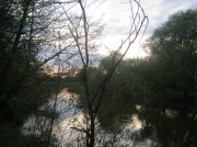 IMG_0478.jpg
