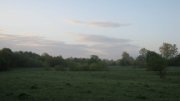 IMG_0479.jpg