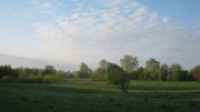 IMG_0483.jpg