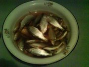 DSC00673.JPG