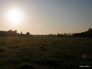 05.14.11 002.jpg
