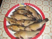 100_4966.jpg