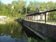 DSC04694.jpg