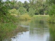 IMG_1853.JPG