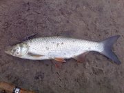 15052011065.jpg