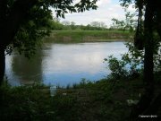 05.15.11 001.jpg